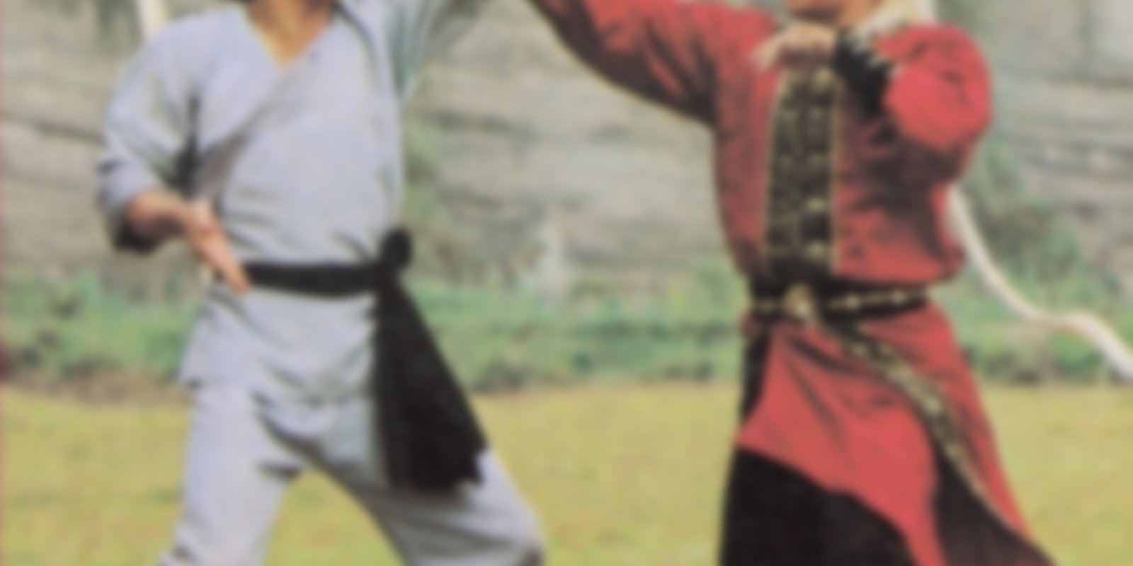 Die 18 Todesschläge der Shaolin