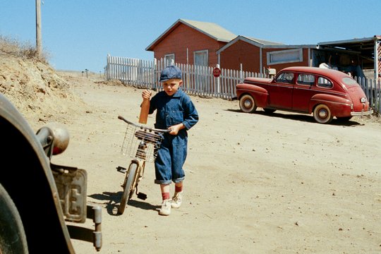 Little Boy - Szenenbild 1