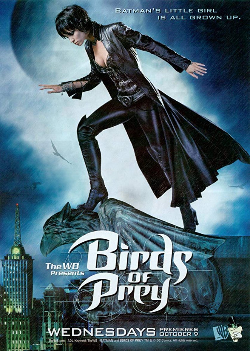 Birds Of Prey Dvd Oder Blu Ray Leihen Videobuster De