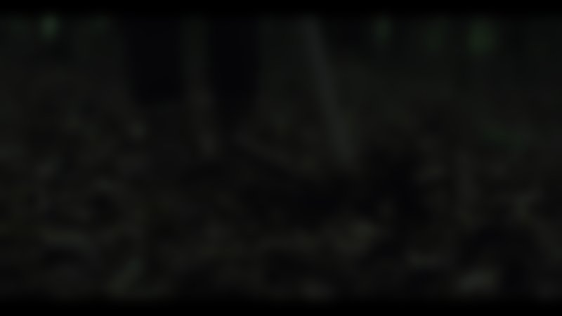 Bamboo Revenge - Trailer - Deutsch - HD