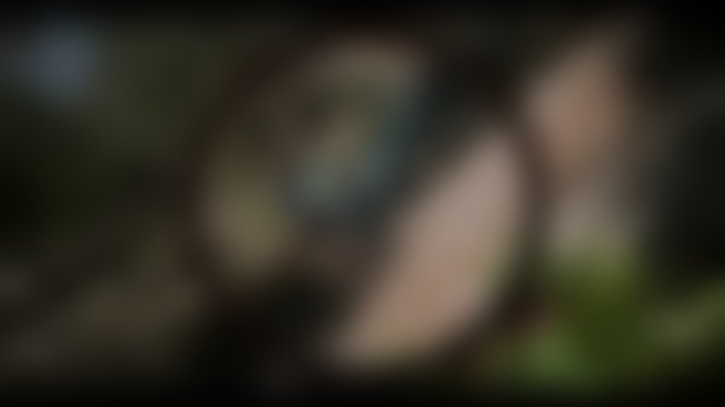 Bring Her Back - Trailer - Englisch - SD