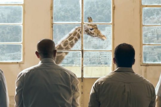 Giraffada - Szenenbild 10