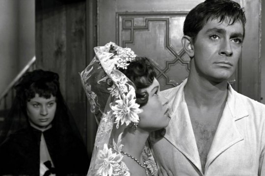 Dunkelroter Venusstern - Szenenbild 1