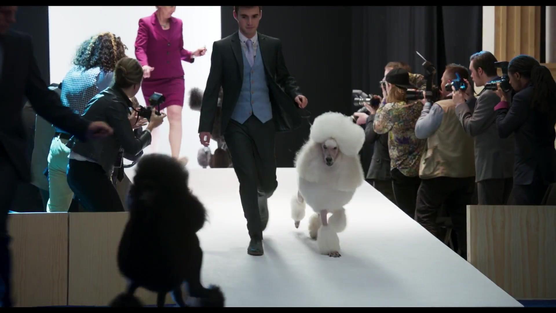 Show Dogs - Trailer - Deutsch