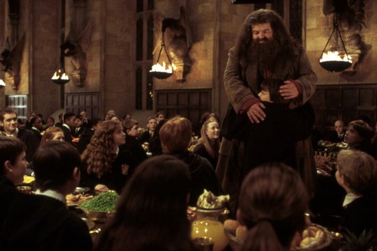 Harry Potter und die Kammer des Schreckens - Szenenbild 31