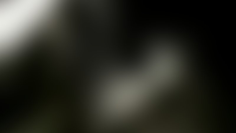 City of the Dead - Trailer - Englisch - SD