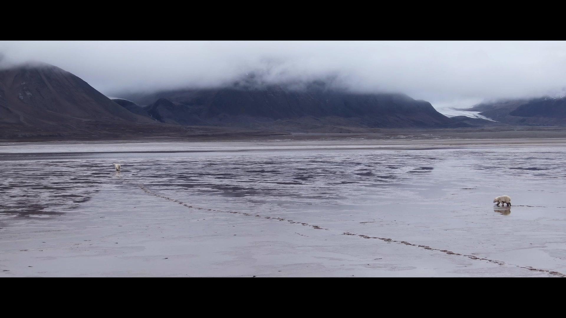 Frost ohne Schnee und Eis - Trailer - Deutsch - HD