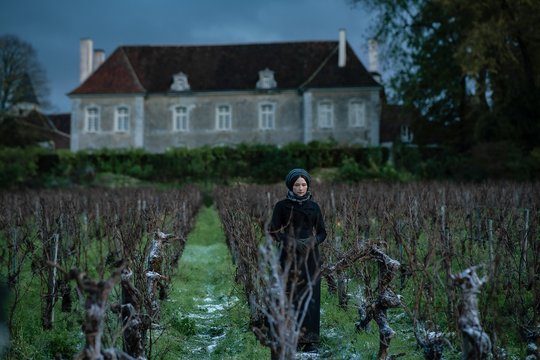 Die Witwe Clicquot - Szenenbild 5