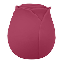 Druckwellenvibrator Blush &amp; Bloom, 6,6 cm