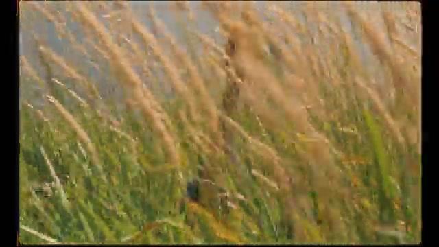 Harvest - Trailer - Deutsch - SD