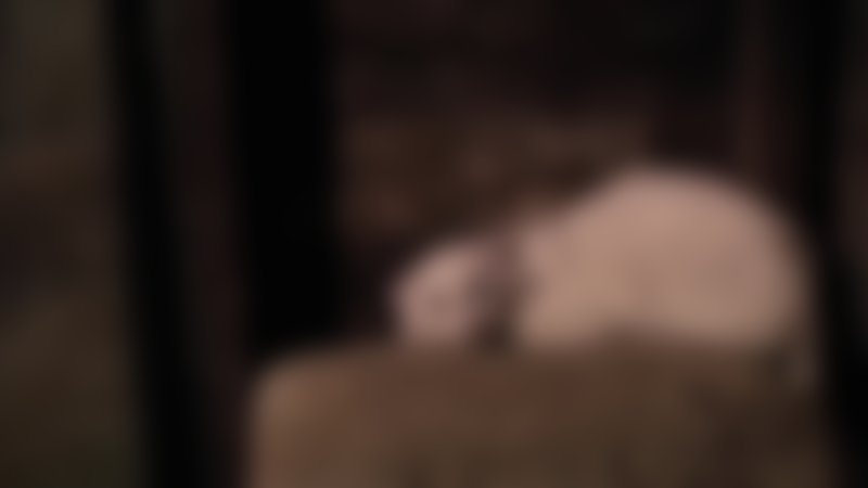 Der letzte Exorzismus - Trailer - Englisch - HD