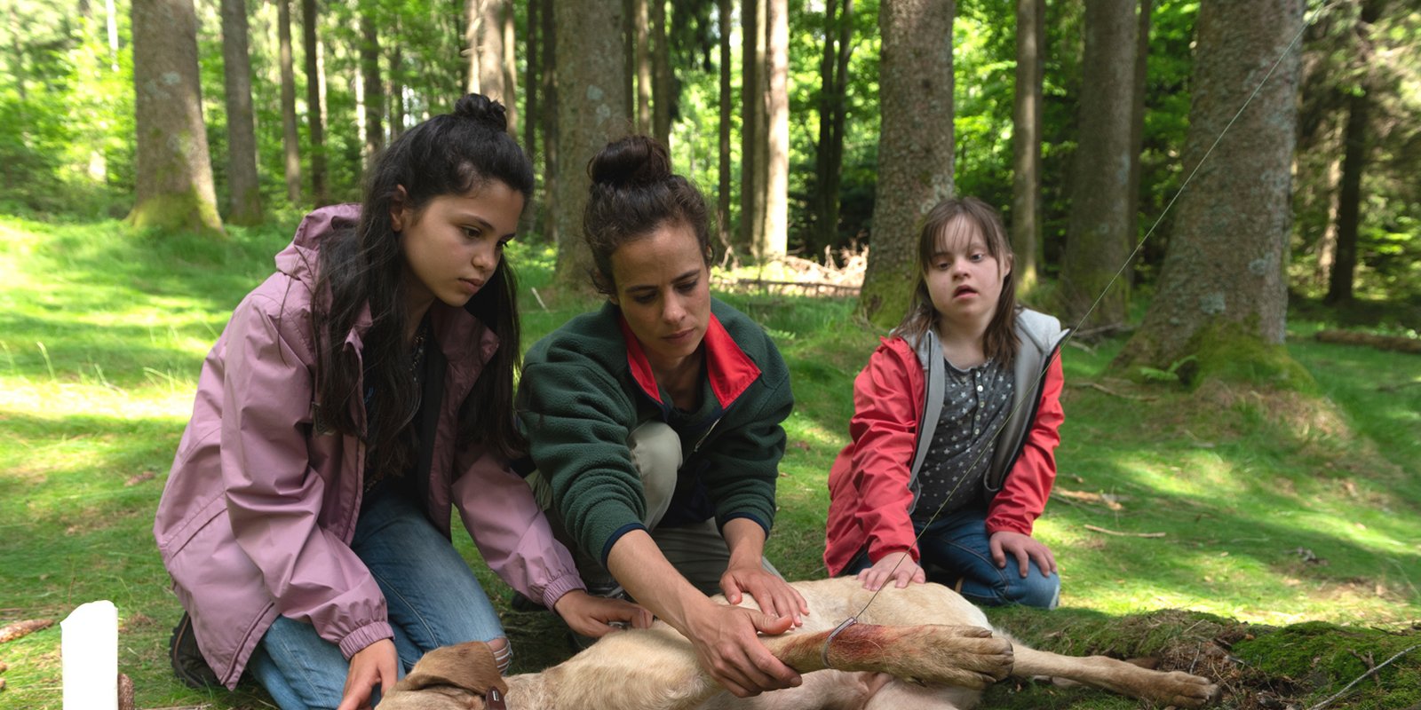 Tiere bis unters Dach - Staffel 9