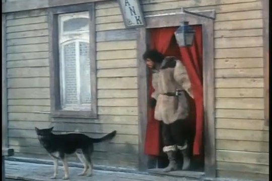 Von Wölfen gehetzt - Das wilde Abenteuer - Szenenbild 3