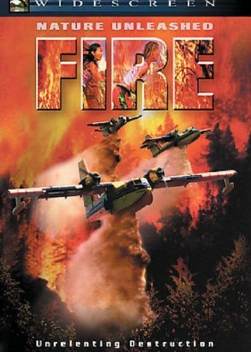 Feuer - Gefangen im Inferno - Poster 1