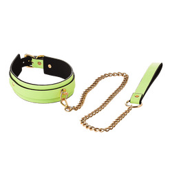 Radiant - Collar and Leash