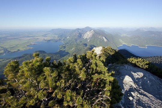 National Geographic - Wilde Alpen - Szenenbild 6