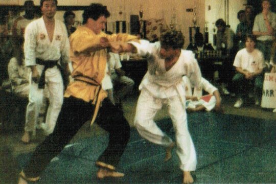 Karate Warrior 3 - Der Drachen-Schlag macht ihn unbesiegbar - Szenenbild 1