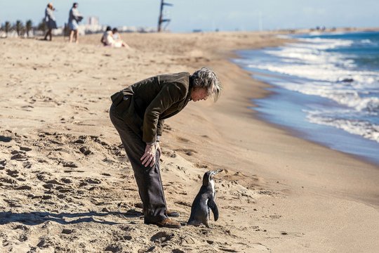 Der Pinguin meines Lebens - Szenenbild 1