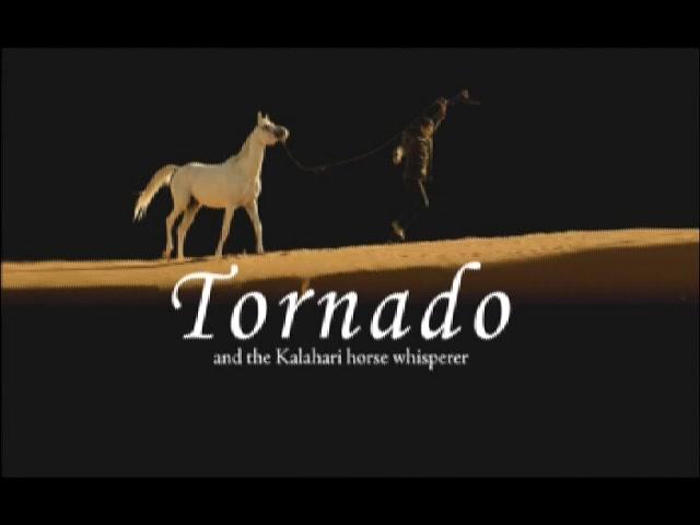 Tornado und der Pferdeflüsterer - Trailer - Englisch - SD