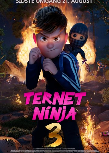 Der karierte Ninja 3 - Poster 2