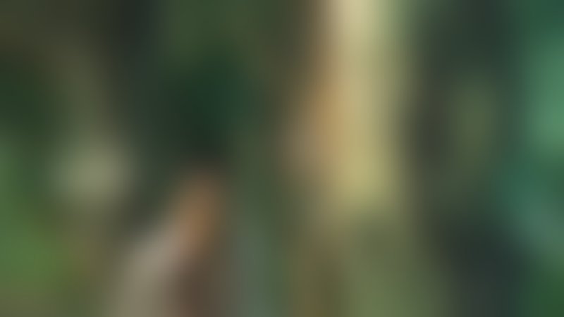 Talons of the Eagle - Trailer - Deutsch - SD