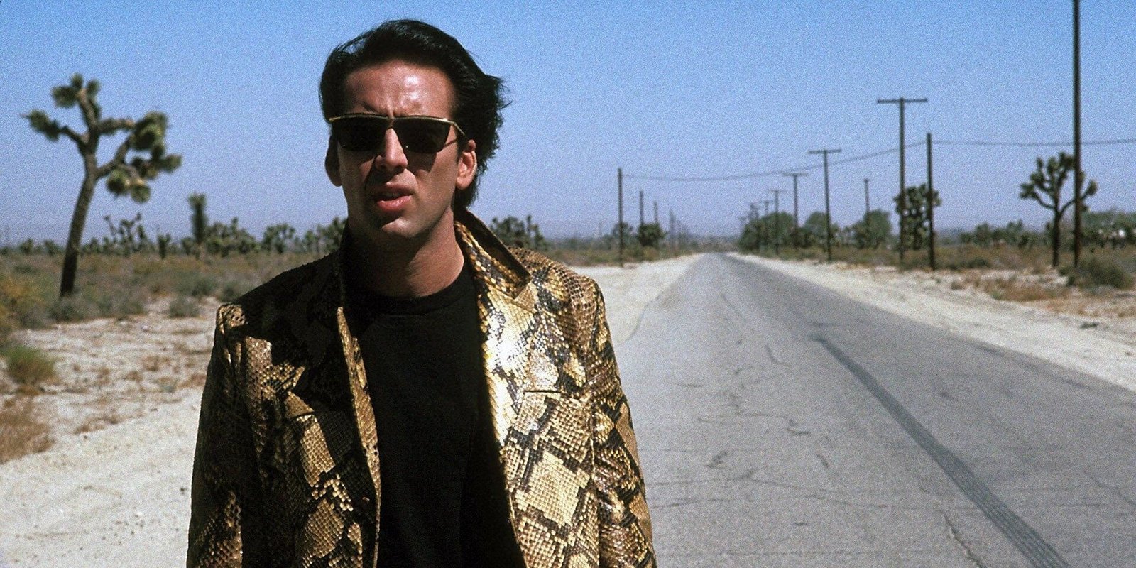 Wild at Heart