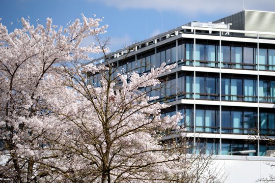 Sep Ruf - Architekt der Moderne - Szenenbild 4
