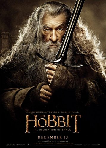 Der Hobbit 2 - Smaugs Einöde - Poster 13