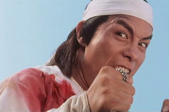 Die 8 Meister der Shaolin & Der Todestritt der gelben Katze - Szenenbild 1
