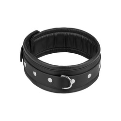 Gepolstertes Halsband, M/L