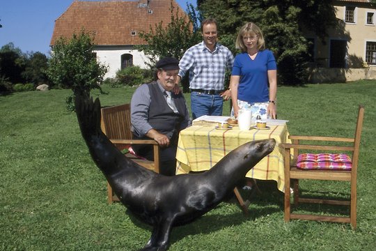Hallo Robbie! - Staffel 4 - Szenenbild 2