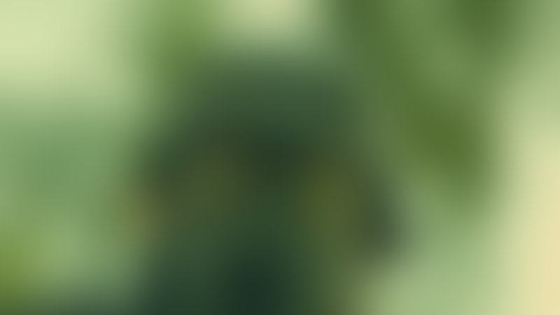 Operation: Overlord - Trailer - Englisch - SD