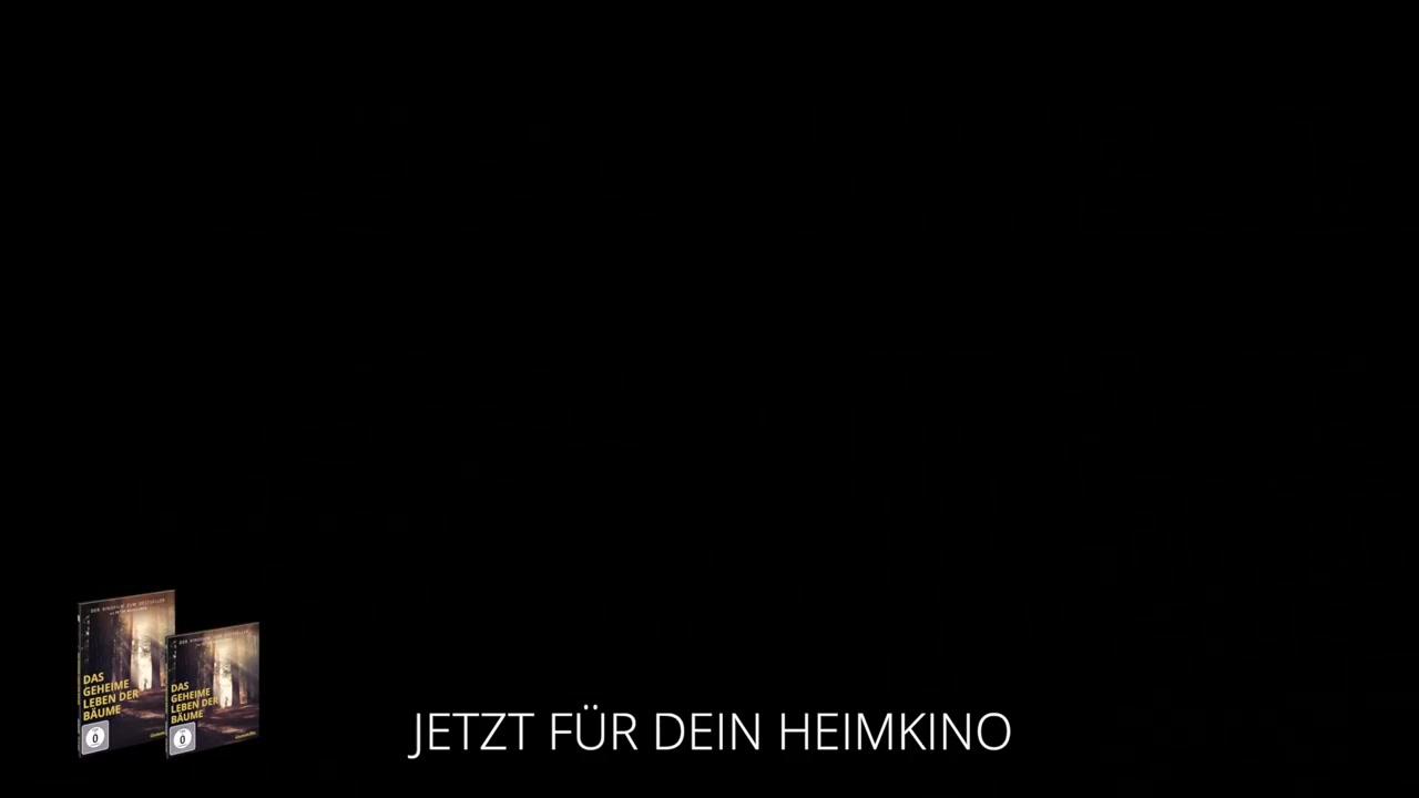 Das geheime Leben der Bäume - Trailer - Deutsch