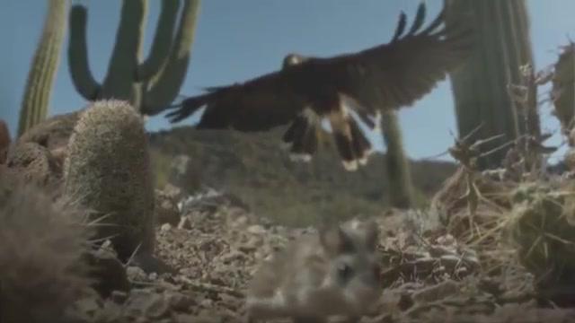 Hidden Kingdoms - Trailer - Englisch - SD