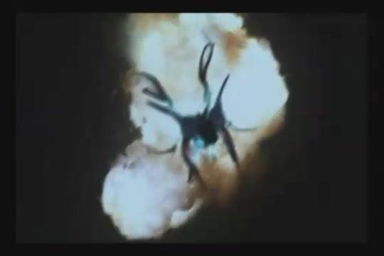 Gamera - Revenge of Iris - Trailer - Englisch - SD