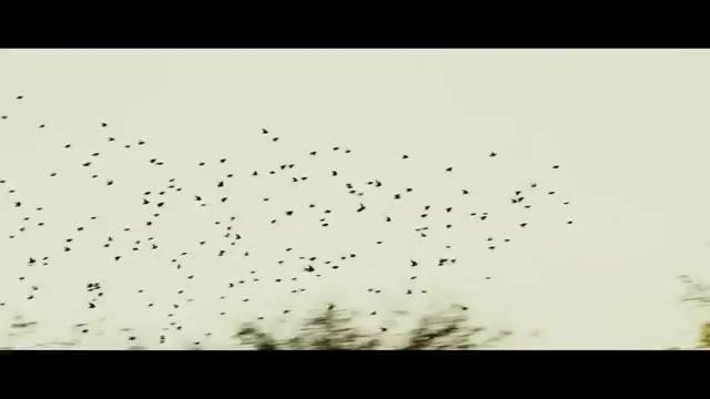 Im August in Osage County - Trailer - Deutsch - SD