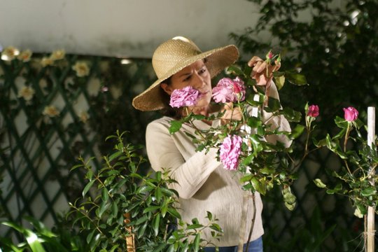 Charlotte Link - Die Rosenzüchterin - Szenenbild 9