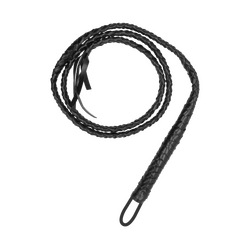 Twisted Whip