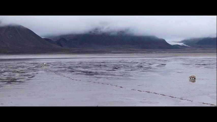 Frost ohne Schnee und Eis - Trailer - Deutsch - SD