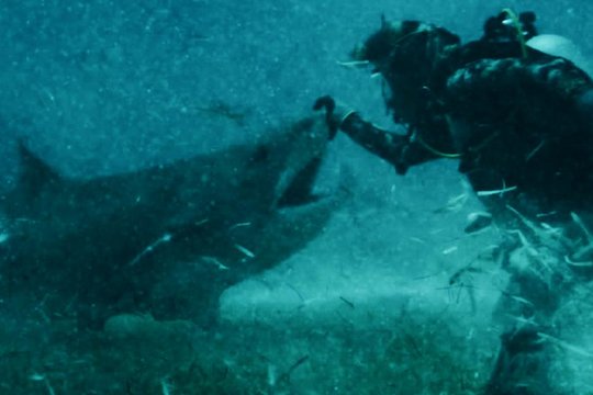 Ghost Divers - Szenenbild 1