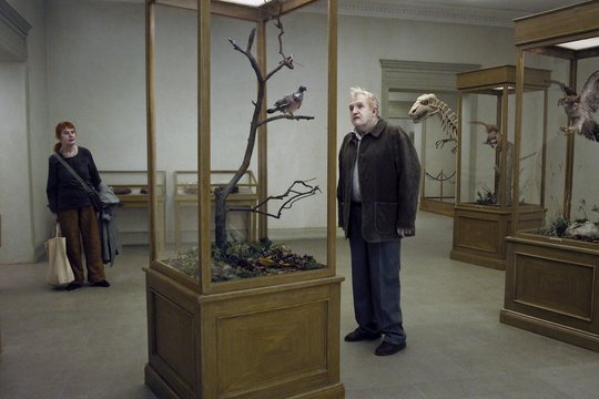 Eine Taube sitzt auf einem Zweig und denkt über das Leben nach - Szenenbild 3