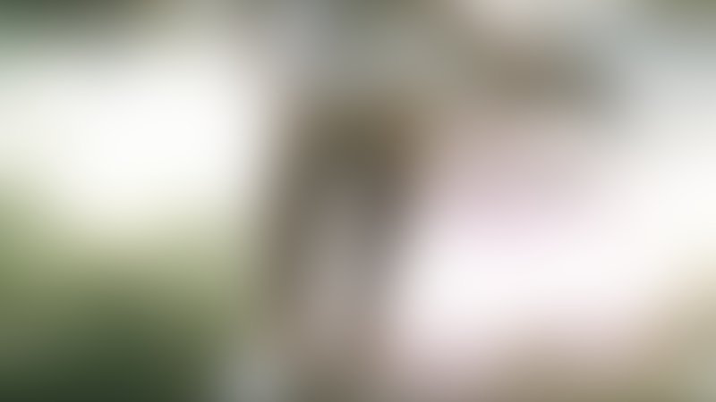 La Bête - Die Bestie - Trailer - Deutsch - SD