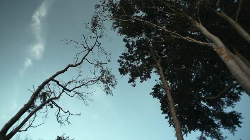 Jetzt. Wohin. - Trailer - Deutsch - SD