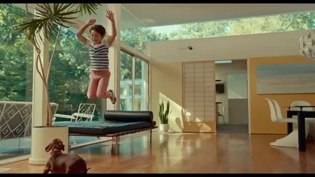 Wiener Dog - Teaser - Englisch - SD