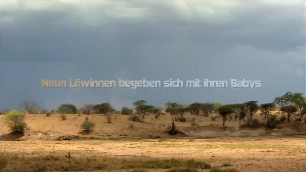 African Safari - Trailer - Deutsch - SD