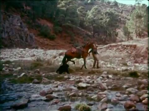 Potato Fritz - Trailer - Deutsch - SD