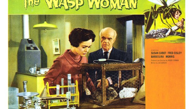 The Wasp Woman - Wallpaper 1