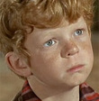 Johnny Whitaker