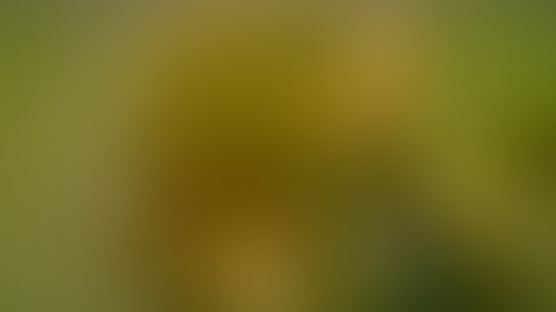 Armee der Frankensteins - Trailer - Englisch - SD