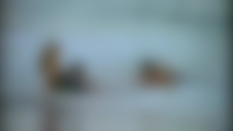 Blindspot - Trailer - Deutsch - SD